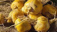 Maca Extract